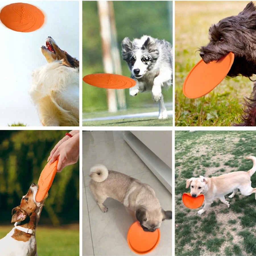 Flying Disc Dog Toy – TPR Rubber Fetch & Outdoor Training Toy
