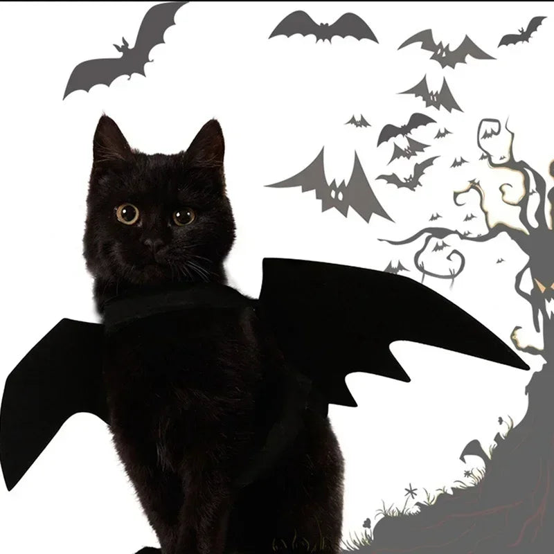 Bat Wing Cat Costume – Black Halloween Pet Cosplay Outfit