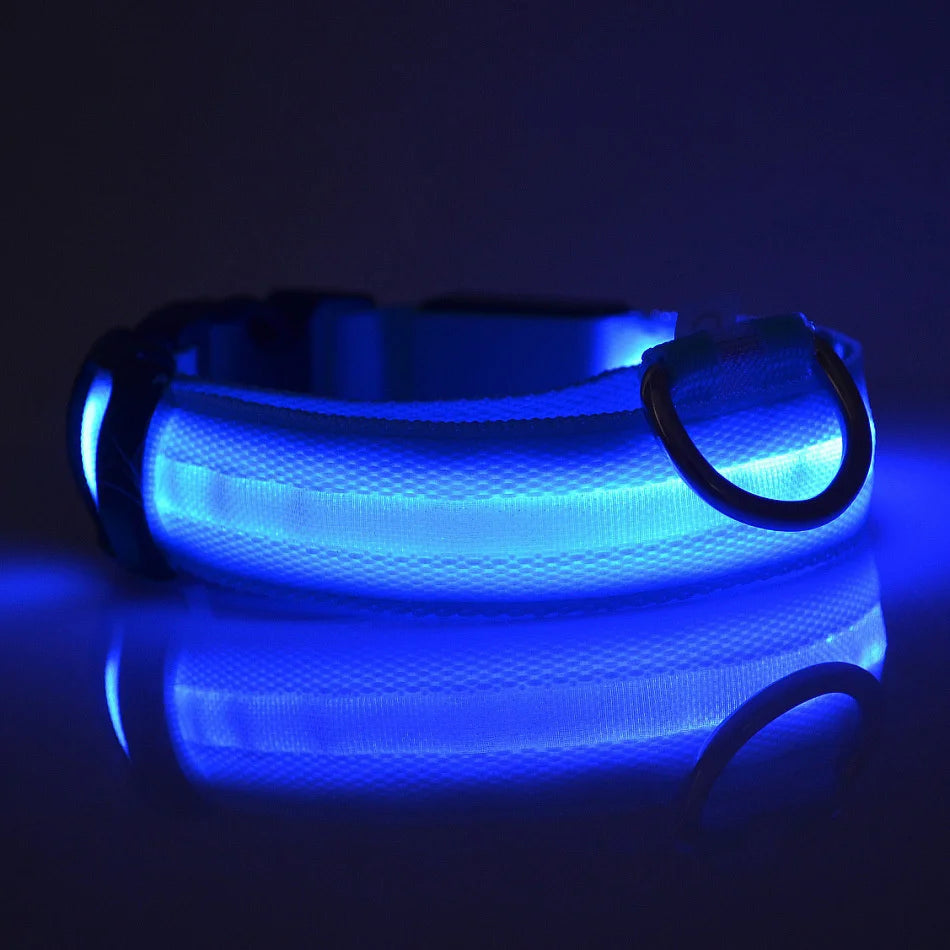LED Dog Leash Nylon Light Up Glow Night Safety Collar