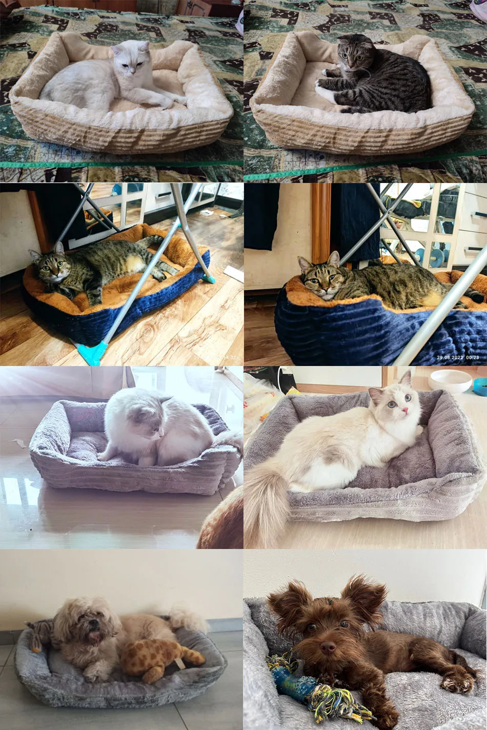Calming Dog Bed – Plush Waterproof Sofa Bed for Small & Medium Pets