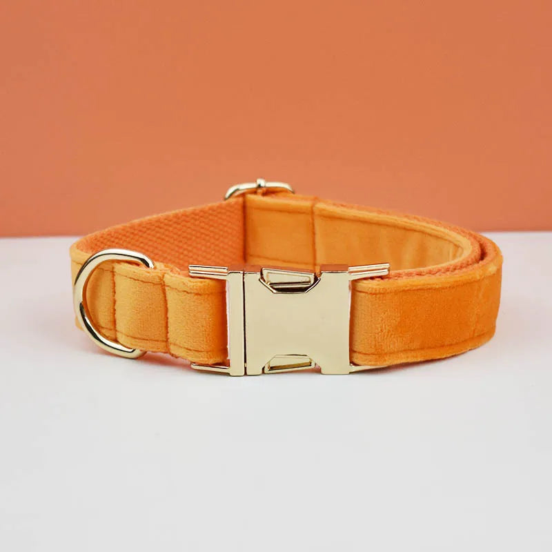 Dog Collar and Leash Set, Adjustable Velvet Collar with Gold Detail