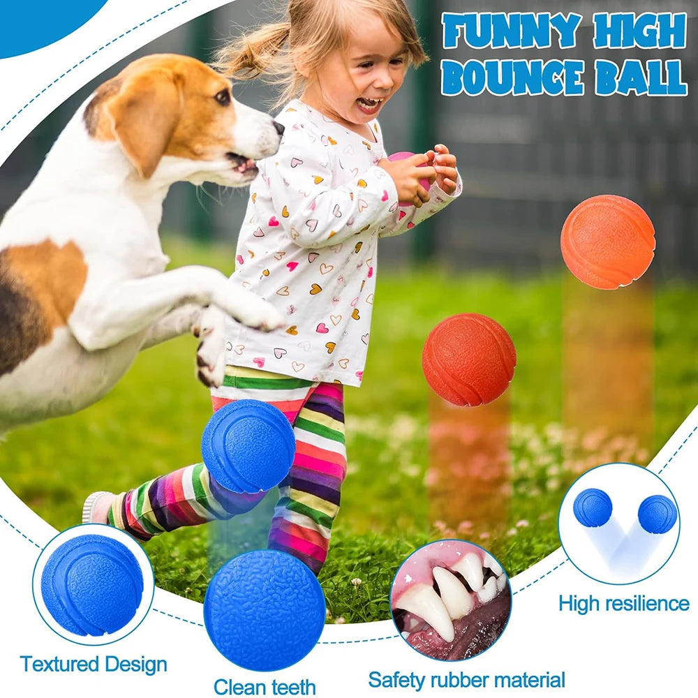 Rubber Dog Ball – Elastic Outdoor Training & Play Toy