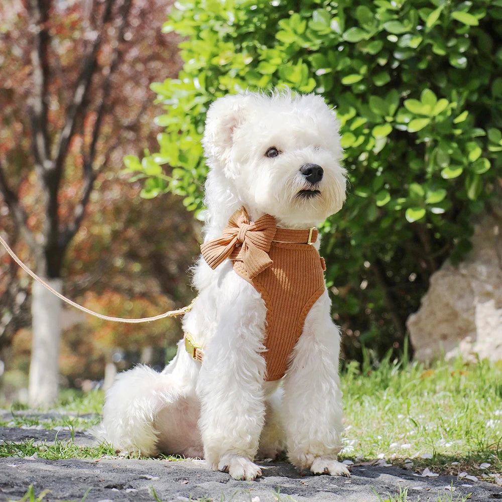 Dog Harness Leash Set, Soft Adjustable Harness & Collar for Small Dogs