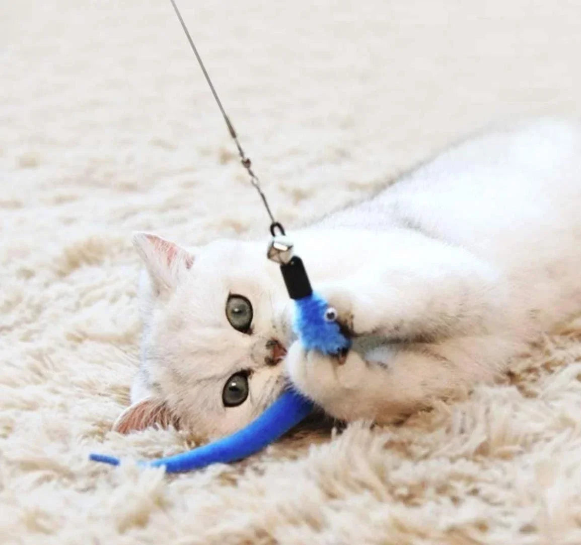 Cat Feather Wand Toy – 11 Piece Retractable Teaser Set