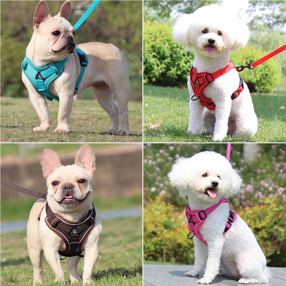 Small Dog Harness and Leash Set – Adjustable Vest