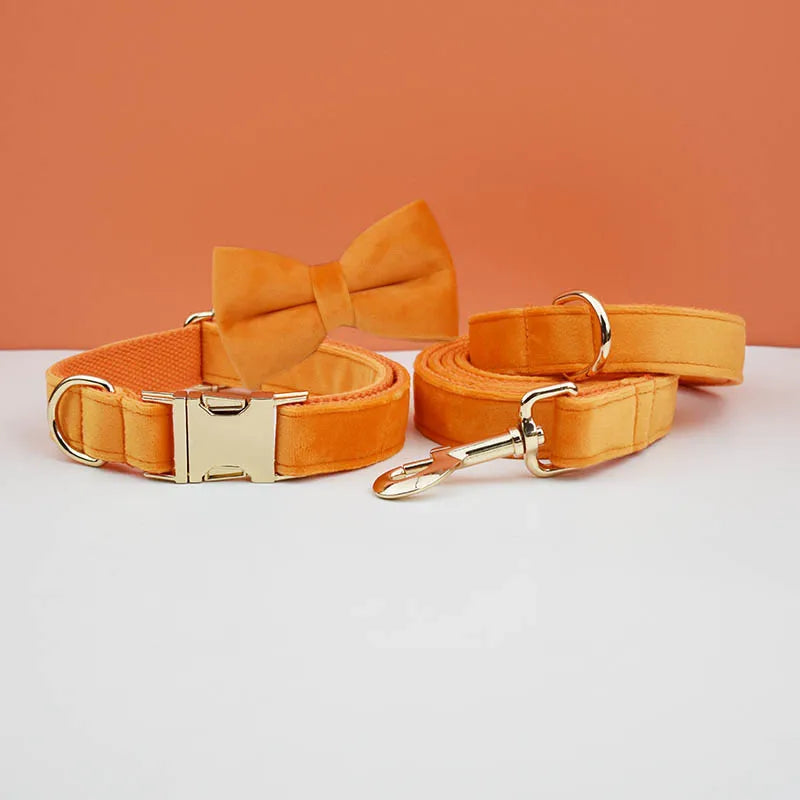 Dog Collar and Leash Set, Adjustable Velvet Collar with Gold Detail