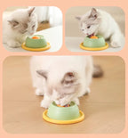 Slow Feeder Cat Toy, Rotating Licking Plate for Cats