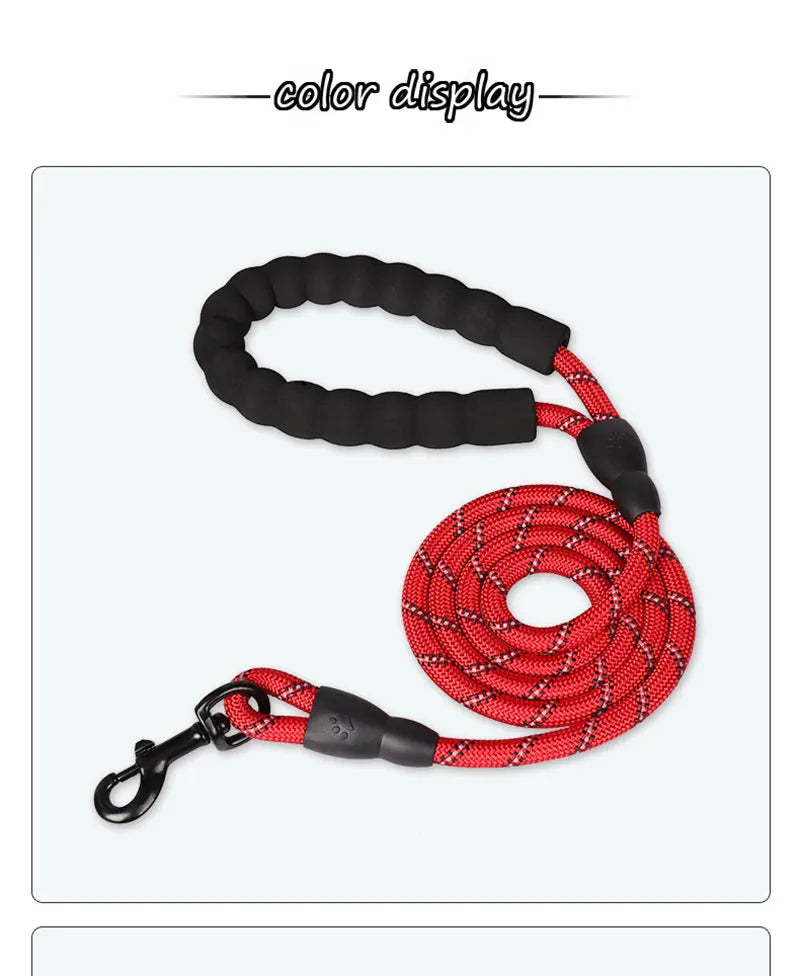 Reflective Dog Leash – Nylon Walking Lead with Quick Release