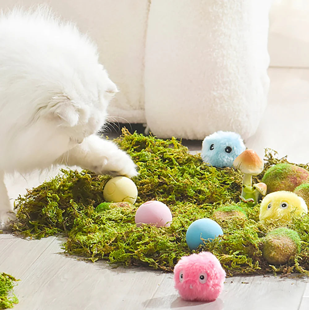 Interactive Cat Ball Toy – Plush Squeaky Training Toy for Cats