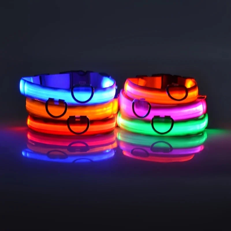 LED Dog Leash, Light-Up Nylon Safety Leash for Night Walking