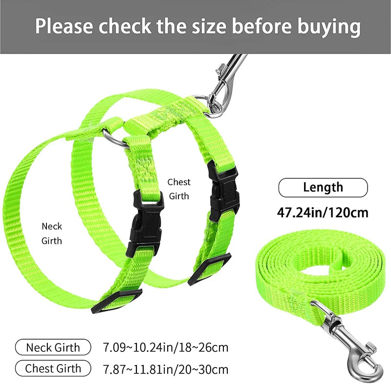 Adjustable Cat Collar – Breakaway Nylon Collar for Kittens & Cats