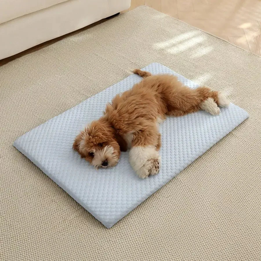 Cooling Cat Bed – Breathable Washable Padded Nest for Cats & Small Dogs