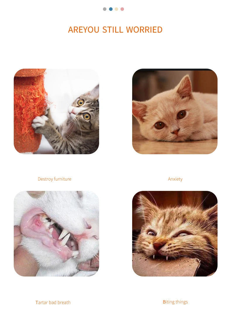 Cat Chew Toy – Carrot Interactive Dental & Scratcher Toy