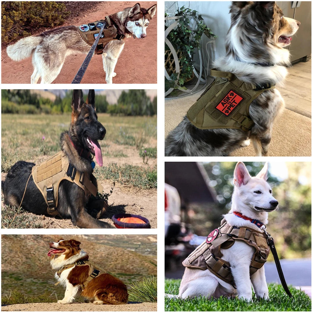 Tactical Dog Harness – Large Nylon Training Vest with Quick Release