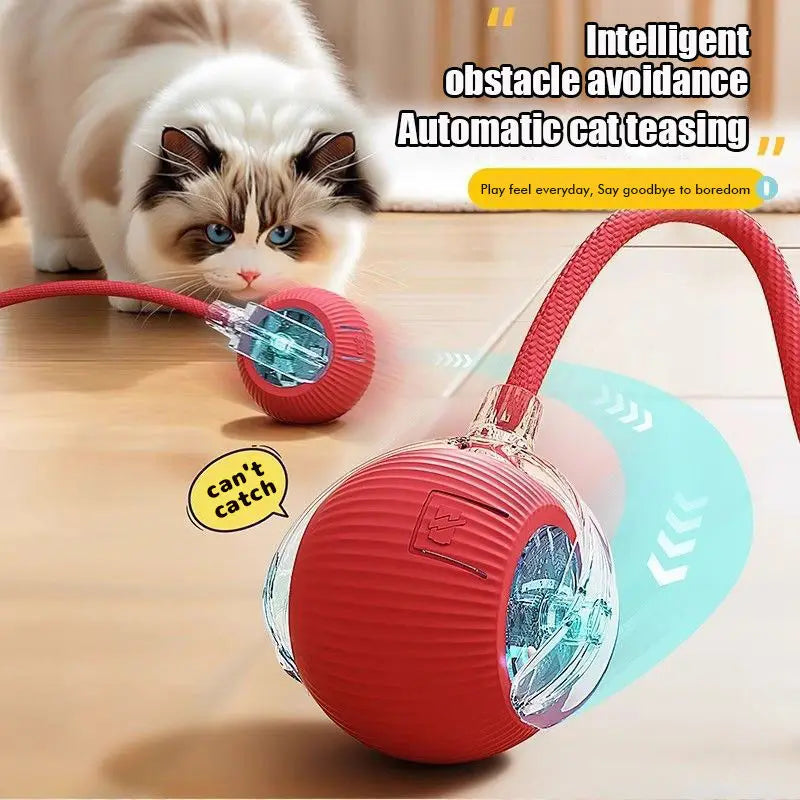 Interactive Cat Ball Toy – Rechargeable Automatic Rolling Toy