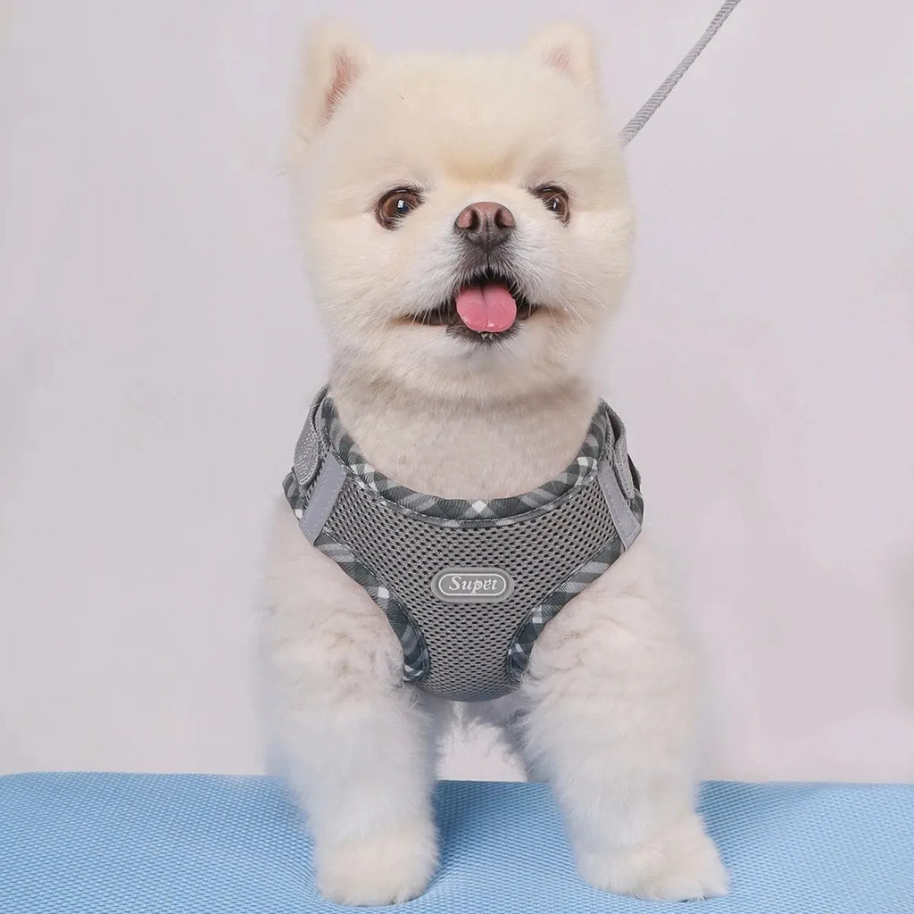 Dog Harness – Adjustable Anti-Pull Harness for Small & Medium Dogs