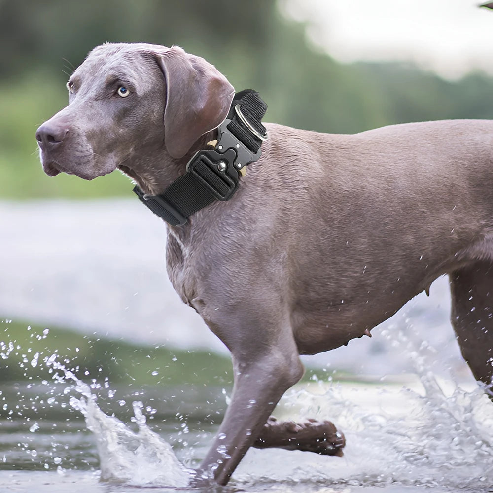 Tactical Dog Collar for Medium & Large Dogs, Padded Adjustable