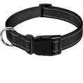 Reflective Dog Collar – Adjustable Nylon Safety Collar with Buckle