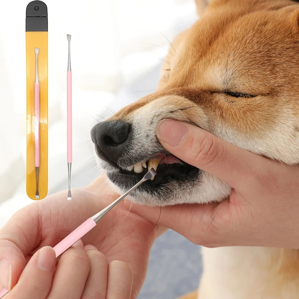 Dog Tartar Remover – Stainless Steel Double-Head Scraper