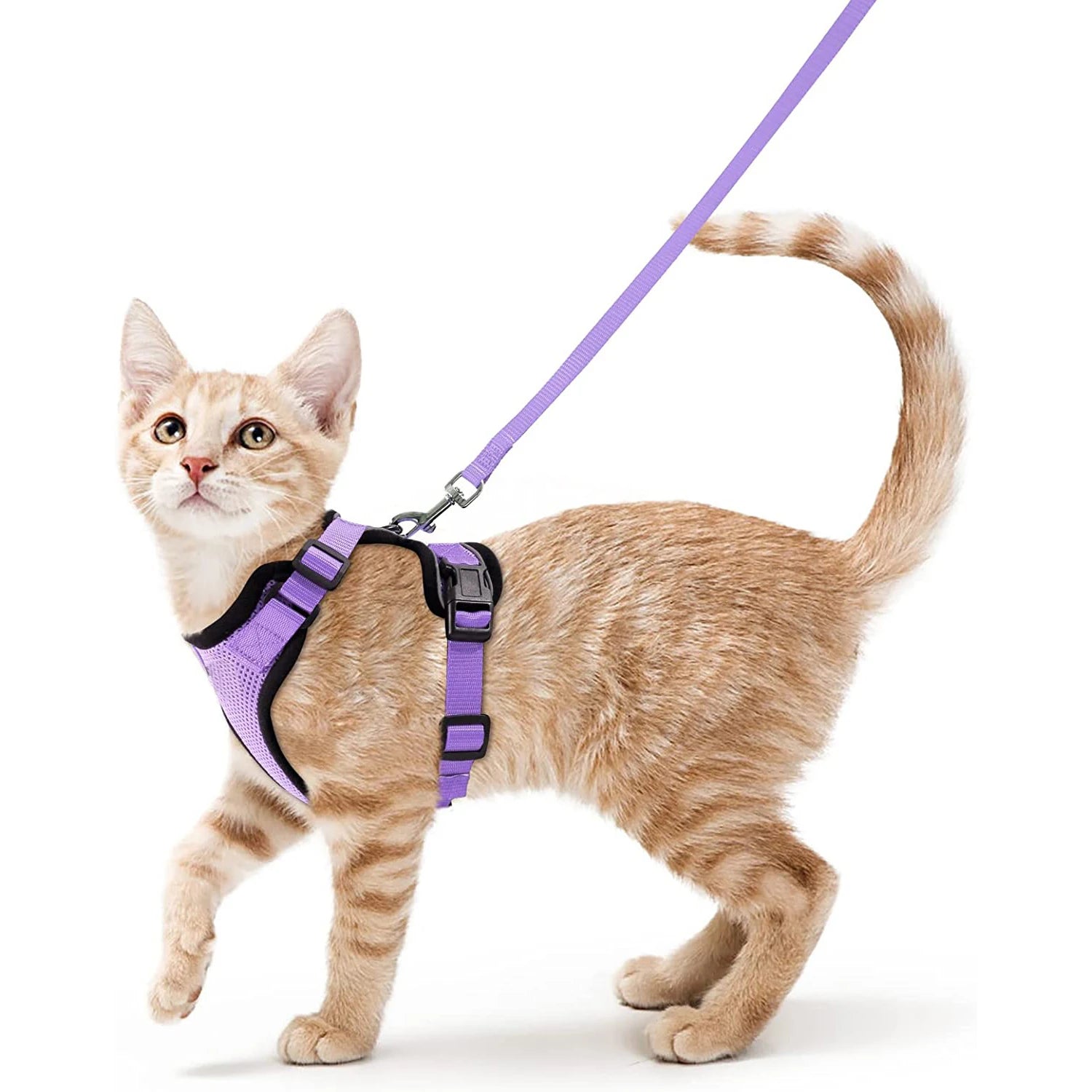 Cat Harness and Leash Set – Adjustable Vest for Walking