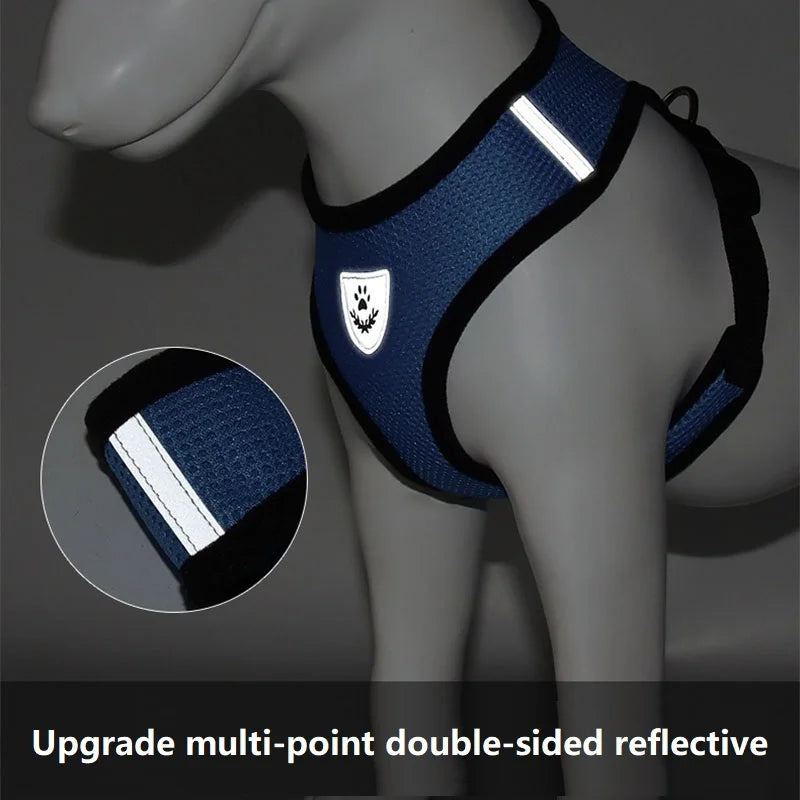 Cat Harness and Leash – Reflective Quick Release Walking Set