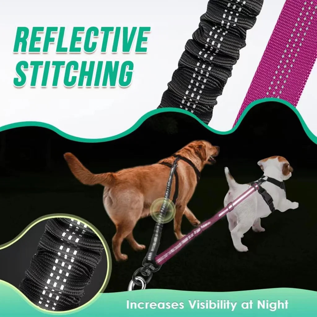 Double Dog Leash – 1.6ft Dual Dog Walking Attachment