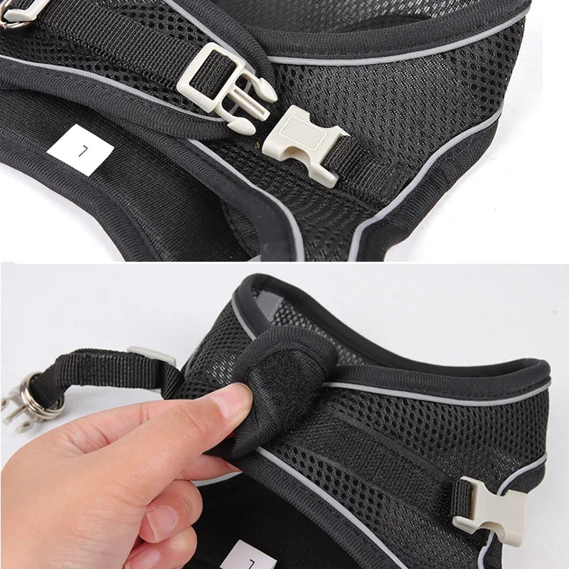 Small Dog Harness – Adjustable Reflective Vest With Leash