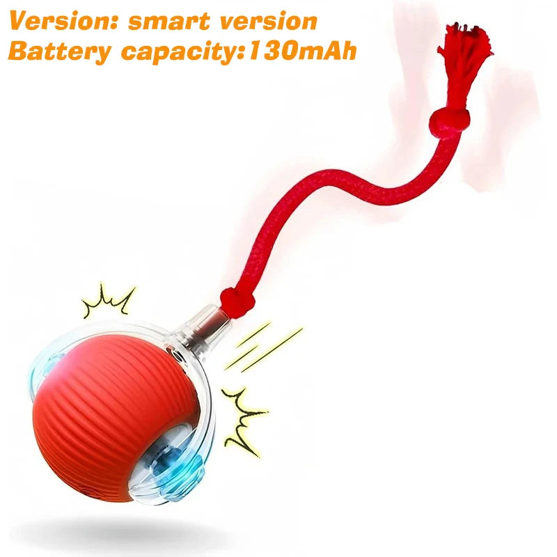 Automatic Dog Ball, Rechargeable Interactive Toy for Dogs