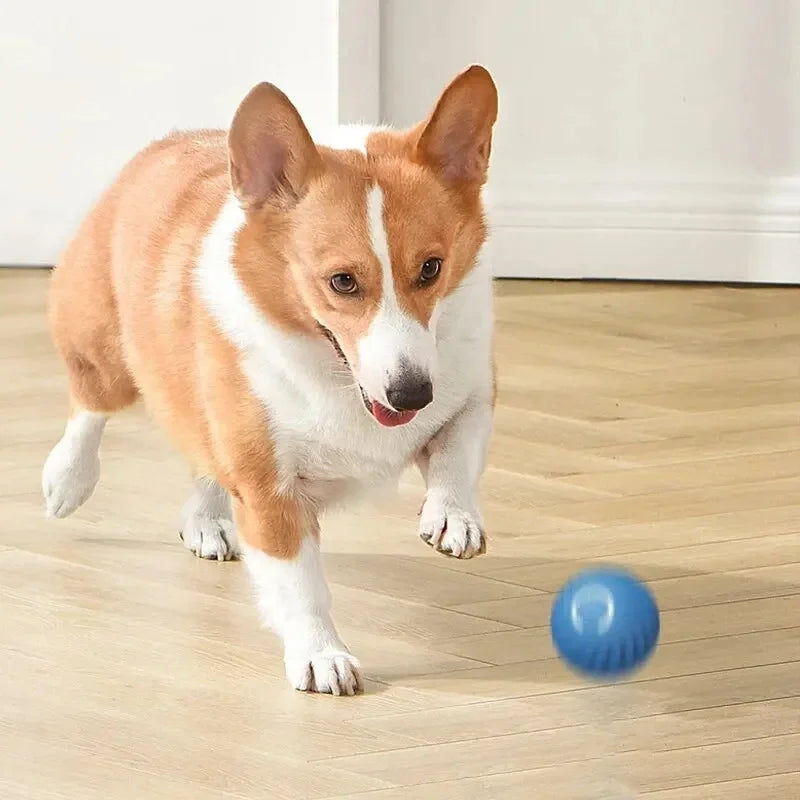 Interactive Dog Ball – USB Rechargeable Automatic Moving Toy