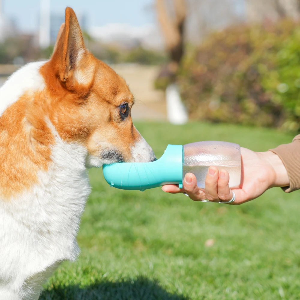300ml - Portable Dog Water Bottle