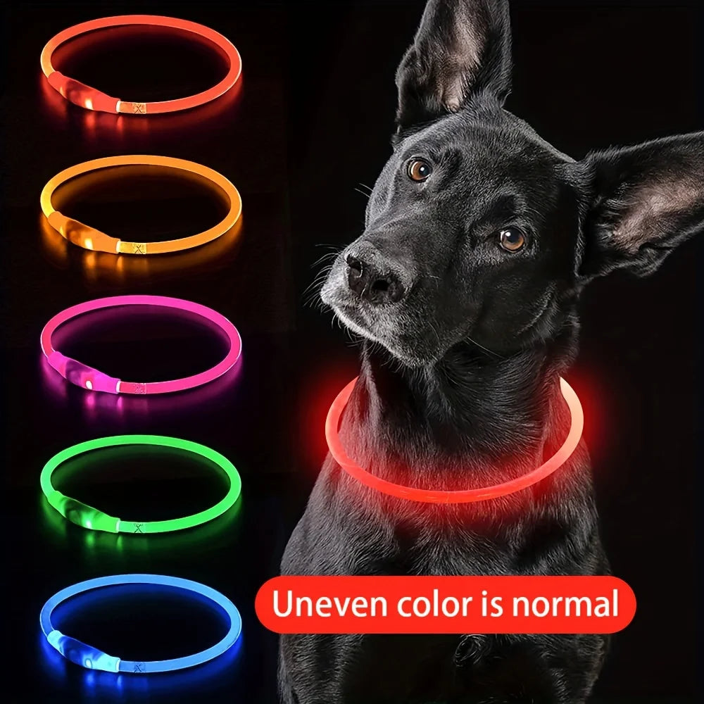 LED Dog Collar – USB Rechargeable Light-Up Reflective Collar
