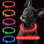 LED Dog Collar, Rechargeable Light Up Reflective Nylon Collar