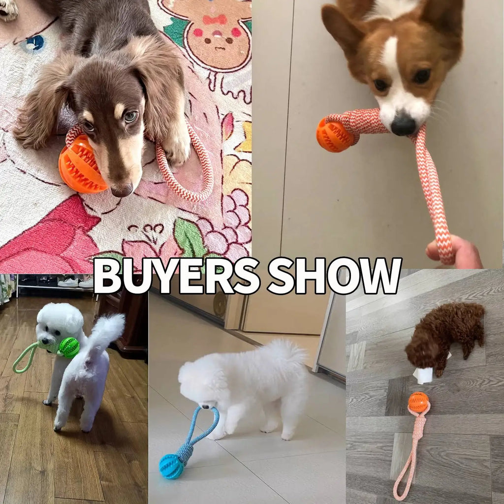 Dog Rope Toy – Training & Teeth Cleaning