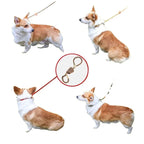 Slip Rope Dog Leash – Adjustable Nylon Lead