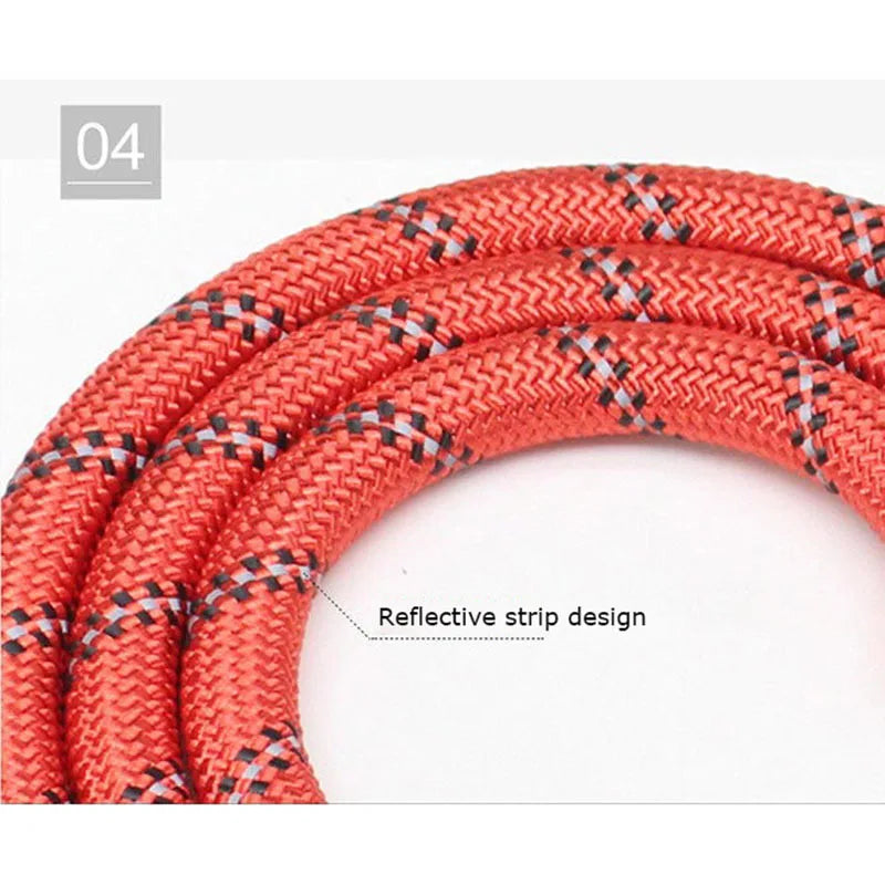 Reflective Dog Leash Heavy Duty Nylon Padded Handle