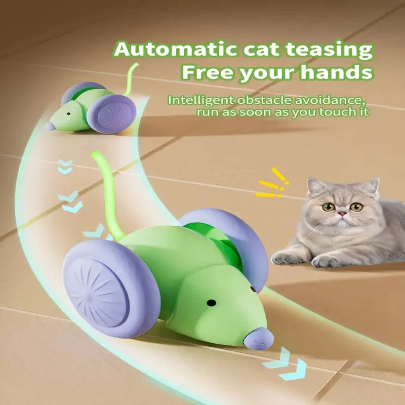 Automatic Interactive Cat Toy Ball – USB Rechargeable Rolling Toy