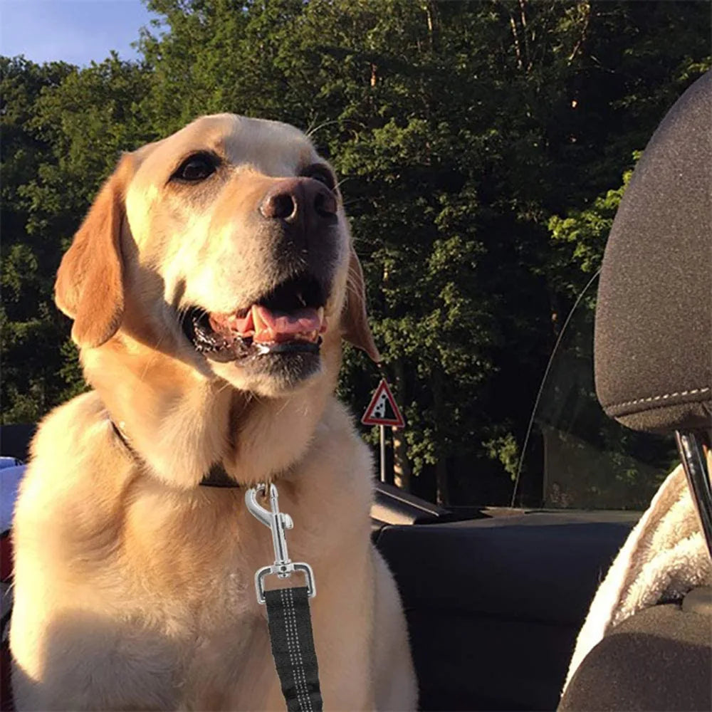 Adjustable Dog Car Seat Belt – Nylon Reflective Travel Harness