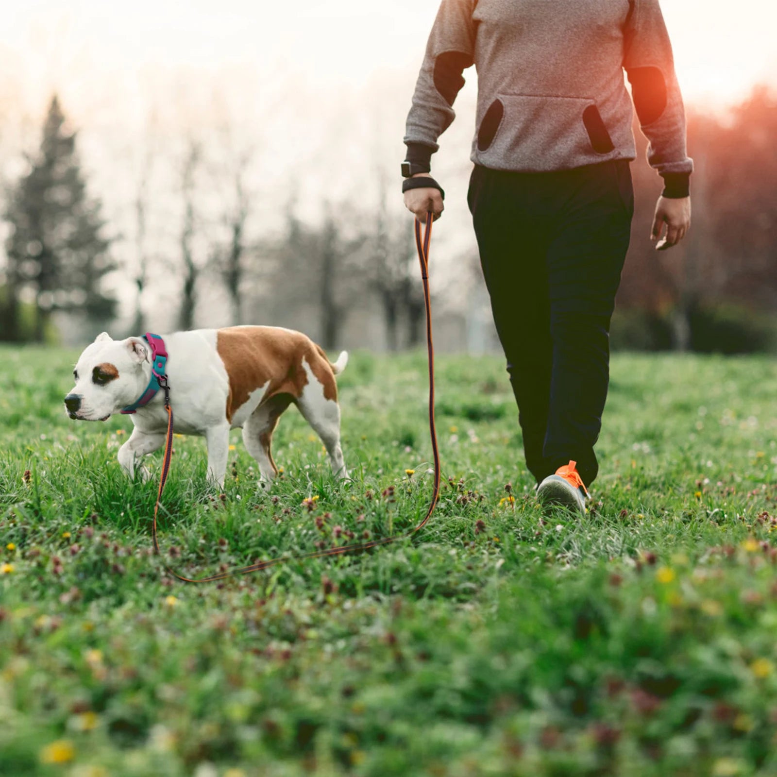 Long Dog Leash – Lightweight Training Lead With Multiple Lengths
