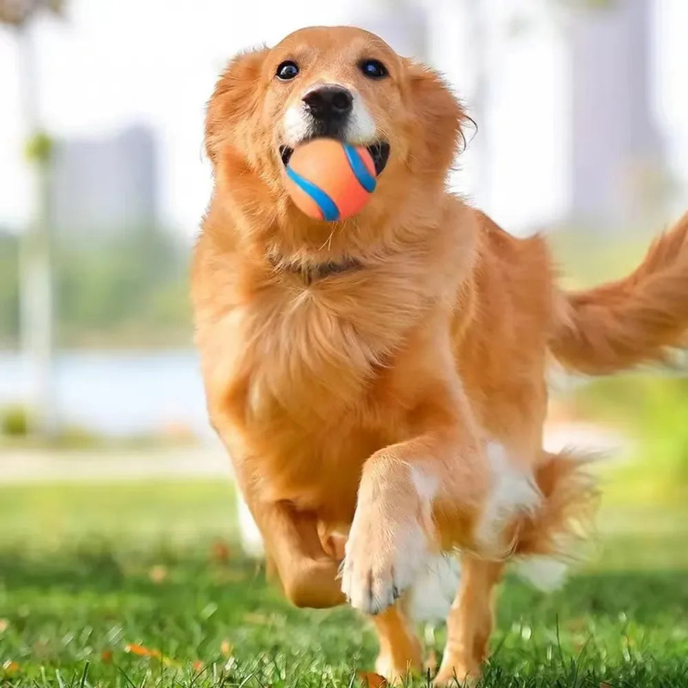 Rubber Dog Ball – Fetch, Chew & Jumping Toy
