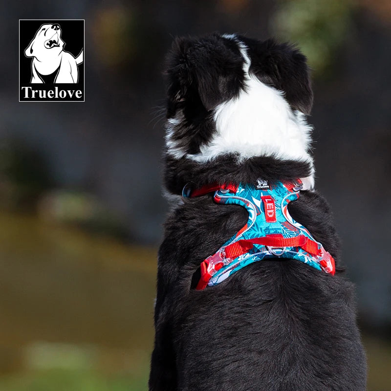 Reflective Dog Harness – Padded Outdoor Vest for All Sizes