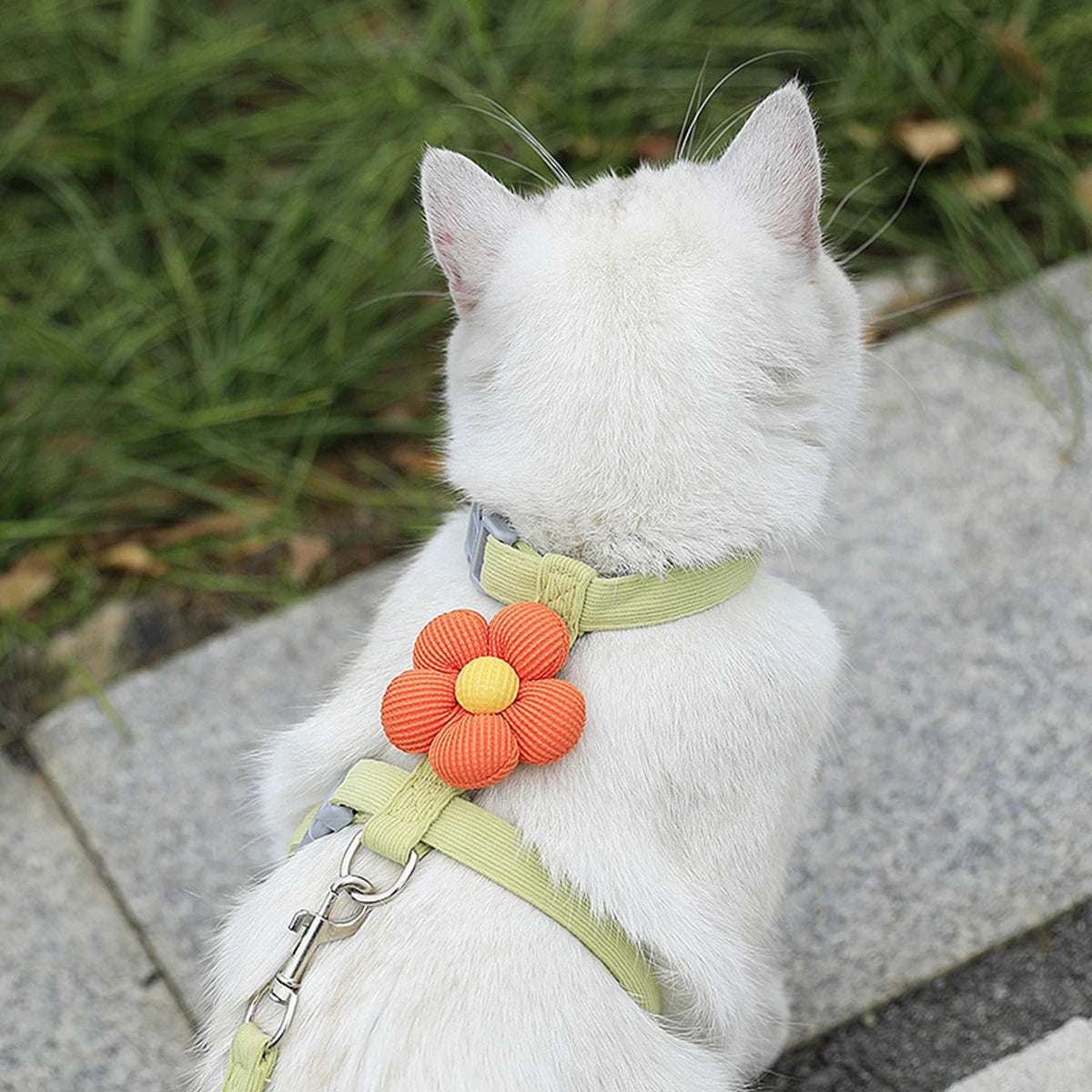 Cat Harness and Leash Set Adjustable Breathable Kitten Harness
