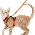Cat Harness and Leash Set – Adjustable Vest for Walking
