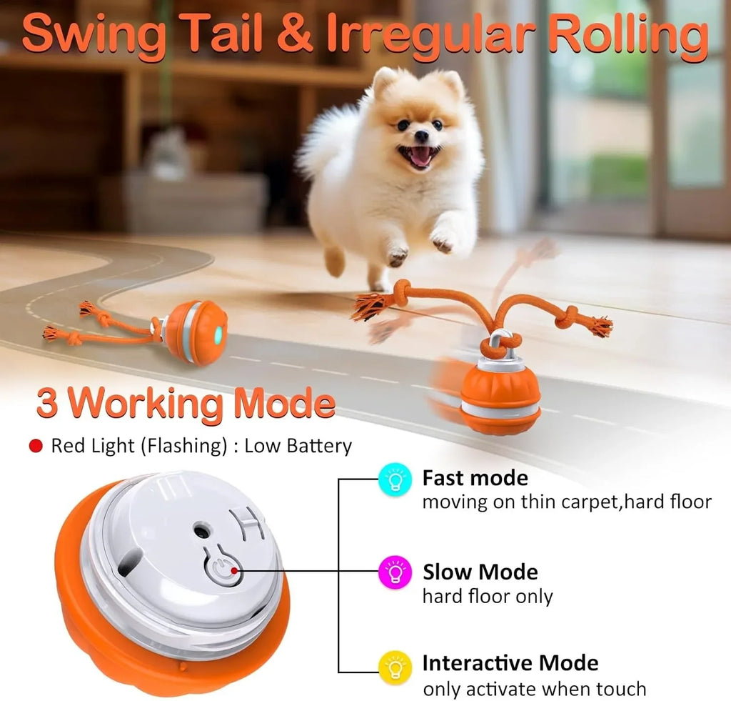 Interactive Dog Ball – Motion Activated Rolling Toy for Dogs