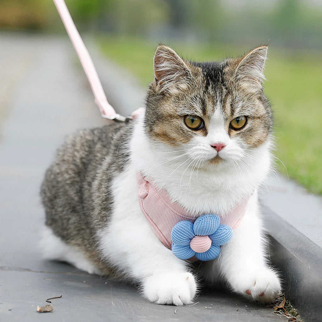 Cat Harness and Leash Set Adjustable Breathable Kitten Harness