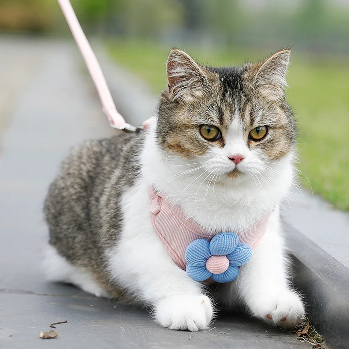 Cat Harness and Leash Set Adjustable Breathable Kitten Harness
