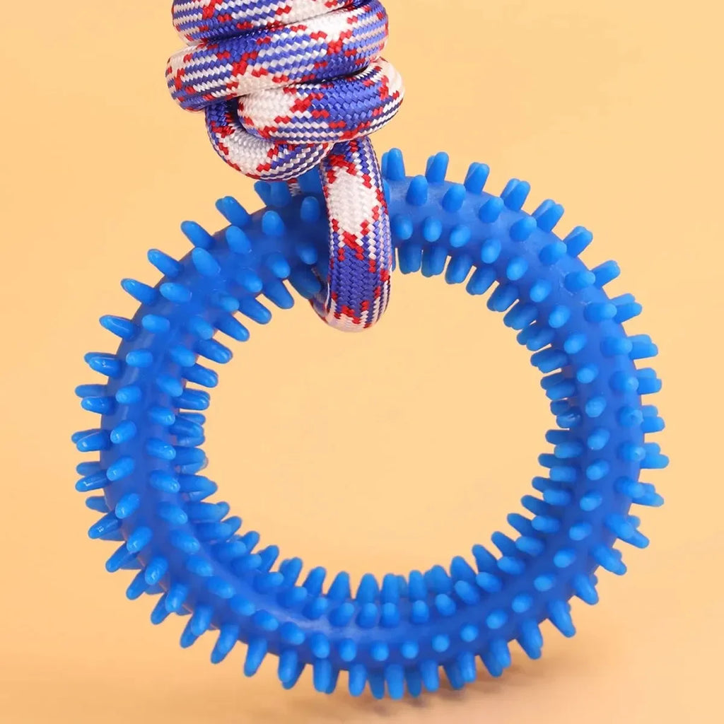 Dog Chew Toys – Durable Rubber Dental Toy for Dogs