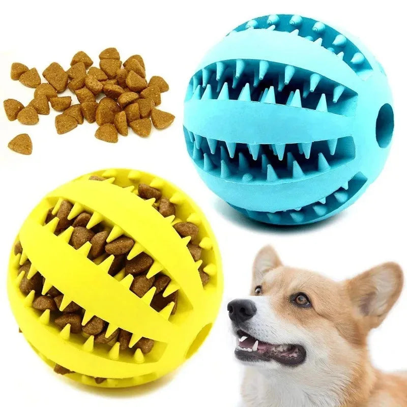 Dog Chew Ball – Natural Rubber Treat & Interactive Toy