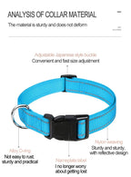 Reflective Dog Collar Adjustable Nylon Safety Collar for Small & Medium Dogs