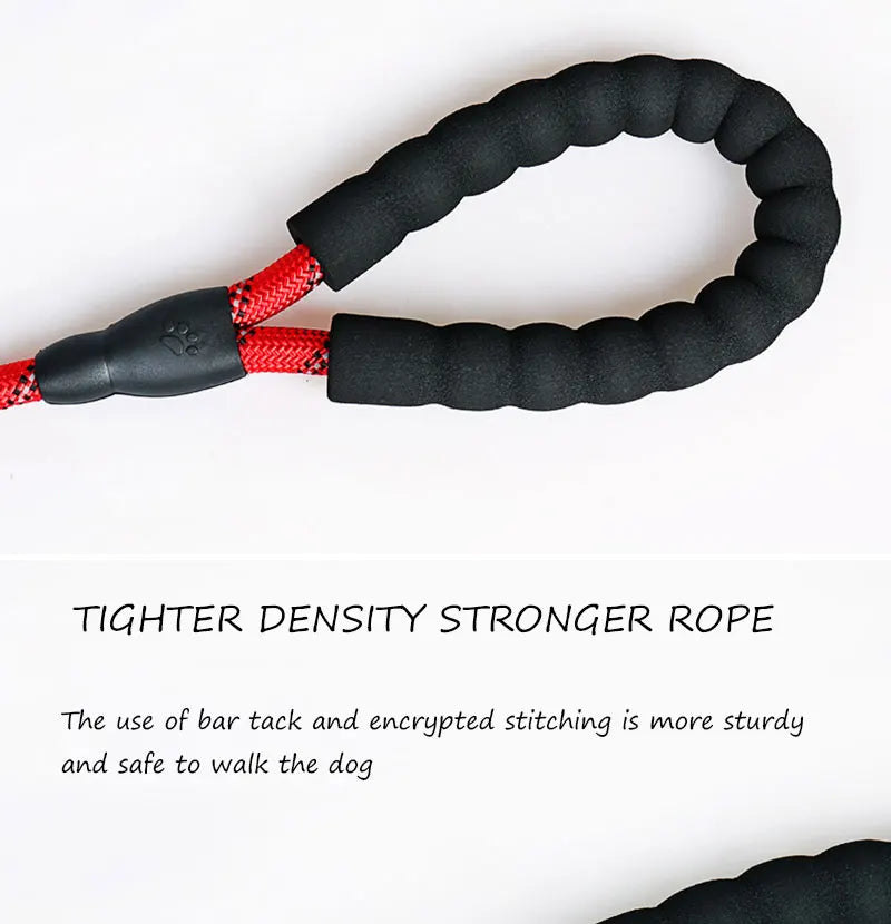 Reflective Dog Leash – Nylon Walking Lead with Quick Release