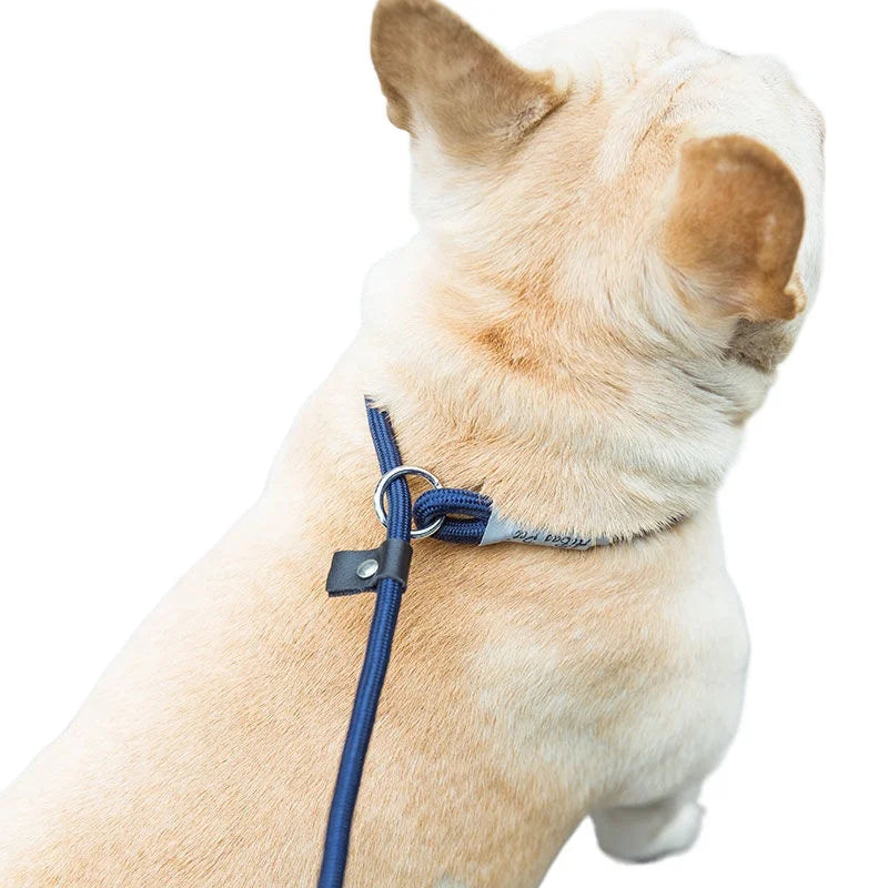 Adjustable Dog Leash – Nylon Slip Lead for Small to Medium Dogs